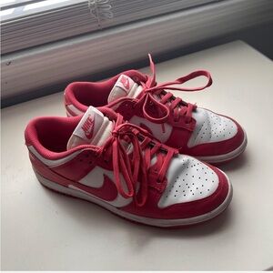 Nike Dunks - Archeo Pink (women’s)